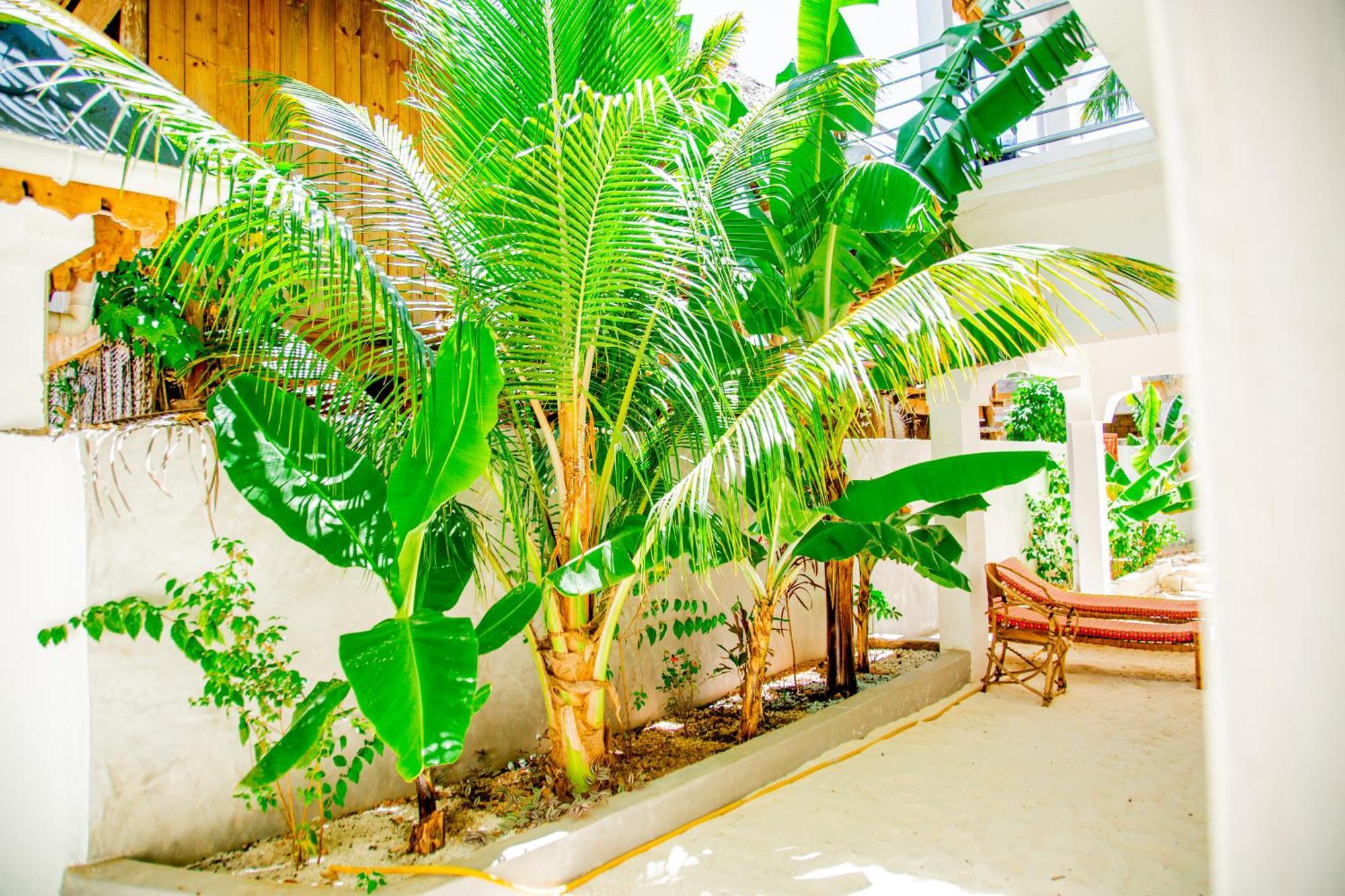 Pamoja Beach Stays Hotel In Jambiani Jambiani  Exterior photo